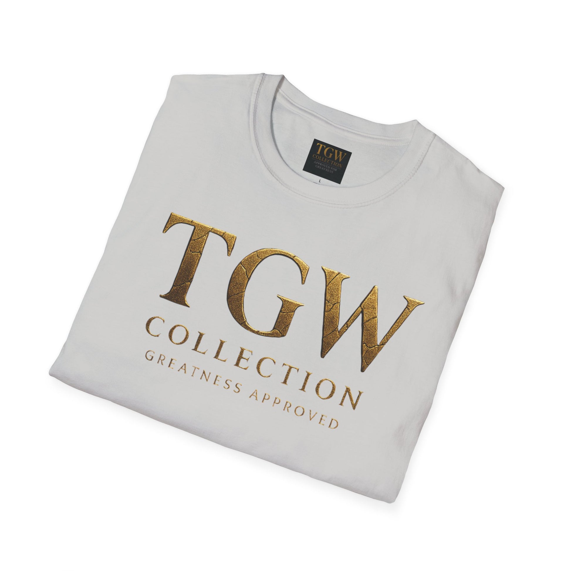 Stylish T-Shirt - Casual Wear for Everyday Comfort, Relaxed Fit