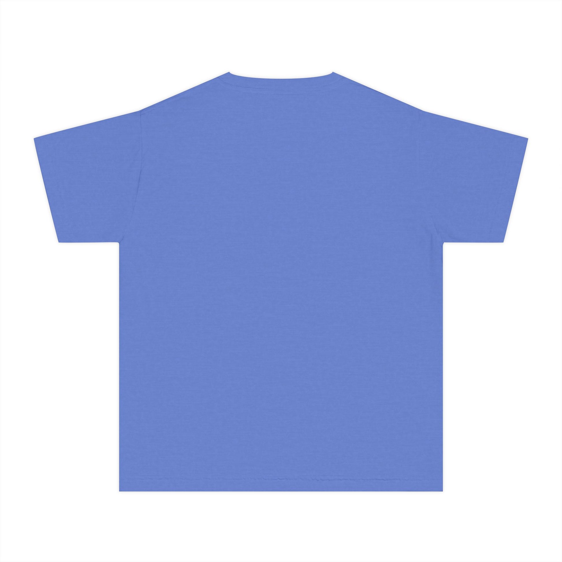 Courage to Dream Youth Midweight Tee, Inspirational Shirt, Kids Motivational Apparel, Dream Big Tee, Gifts for Young Dreamers
