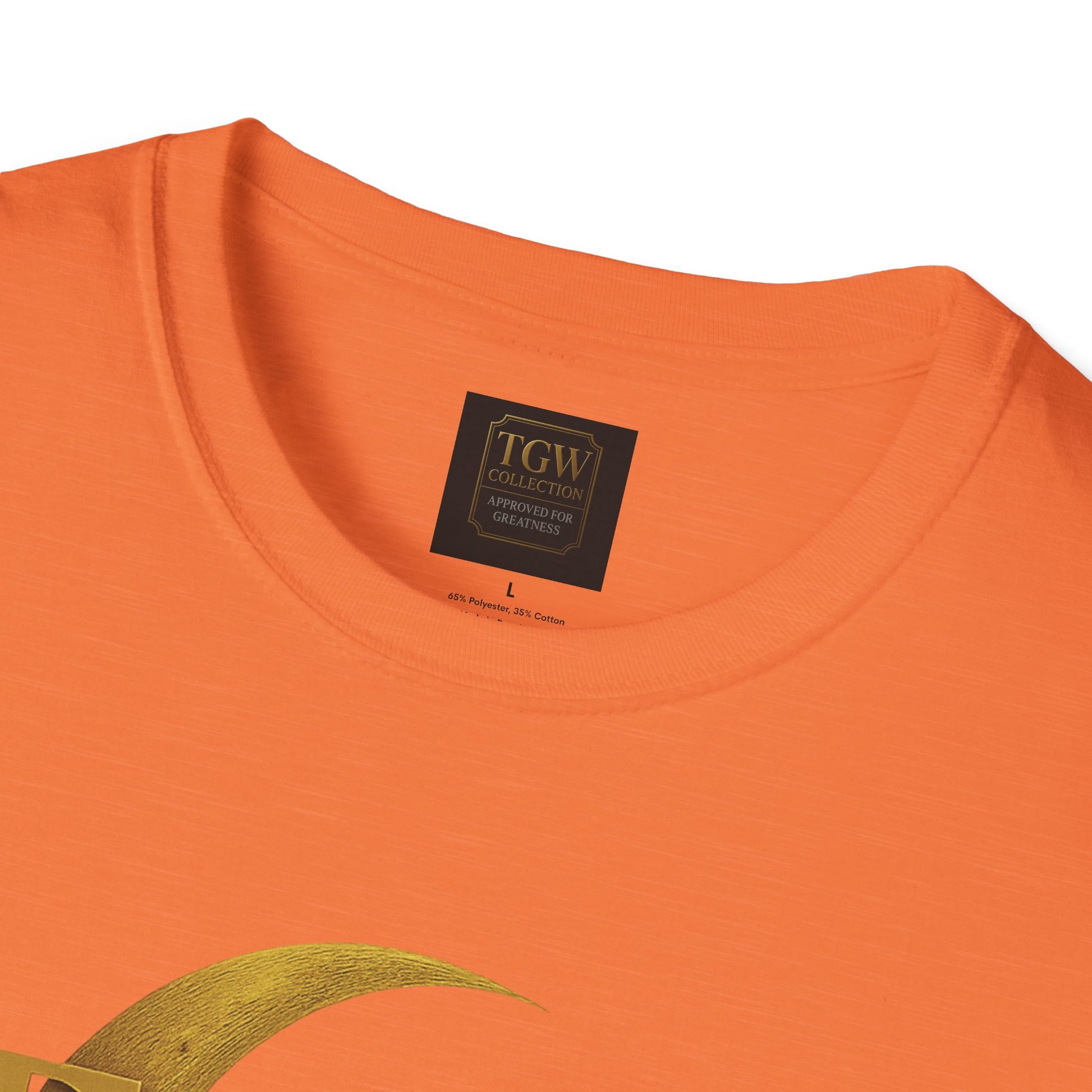 Shine Bright T-Shirt, Graphic Tee, Motivational Gift, Casual Wear, Inspirational Apparel