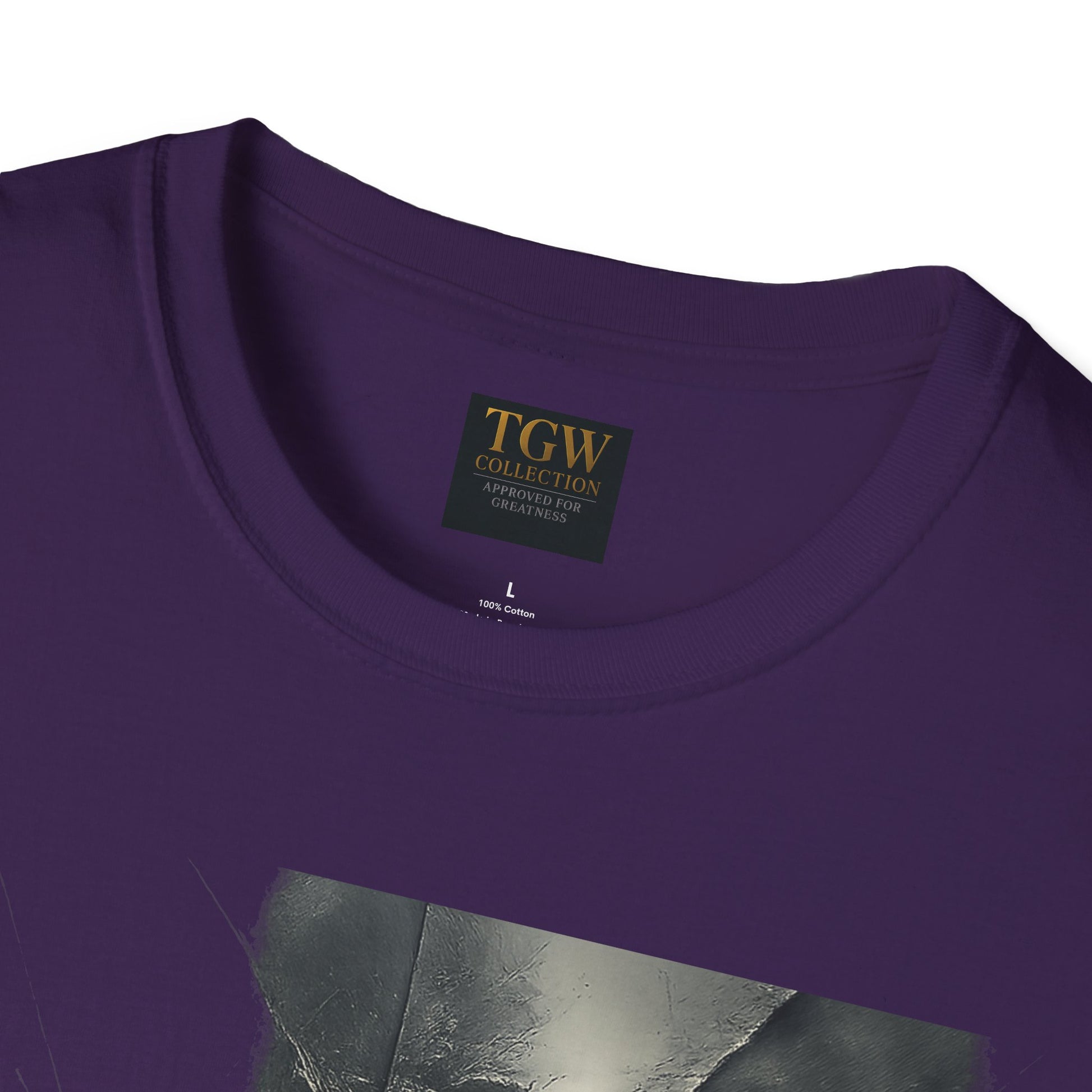 Stylish Graphic Tee, Cool Casual Wear, T-Shirt, Perfect Gift for Fans, Greatness Approved