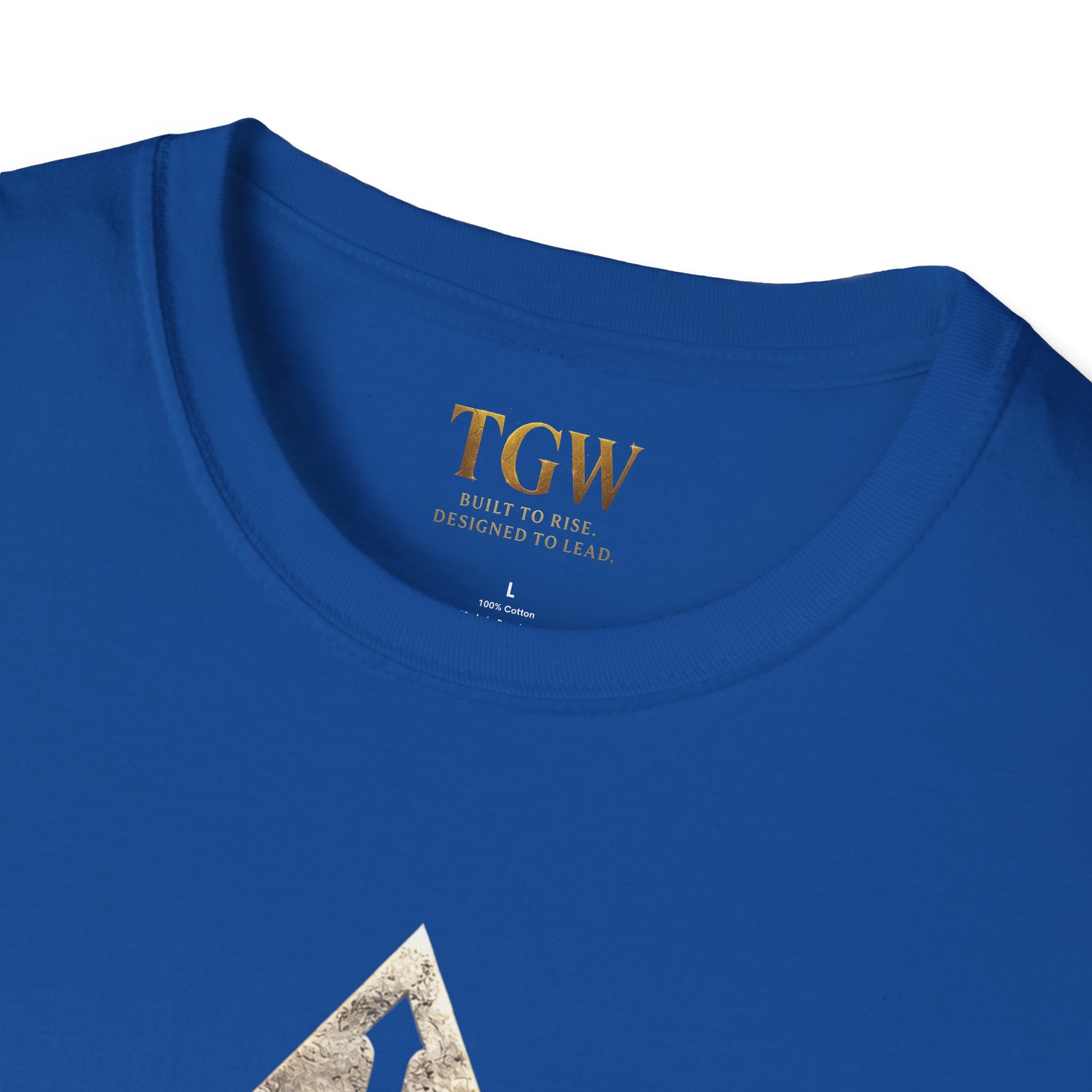 Triangle Shield & Sword (TGW Collection Greatness Approved) Softstyle T-Shirt