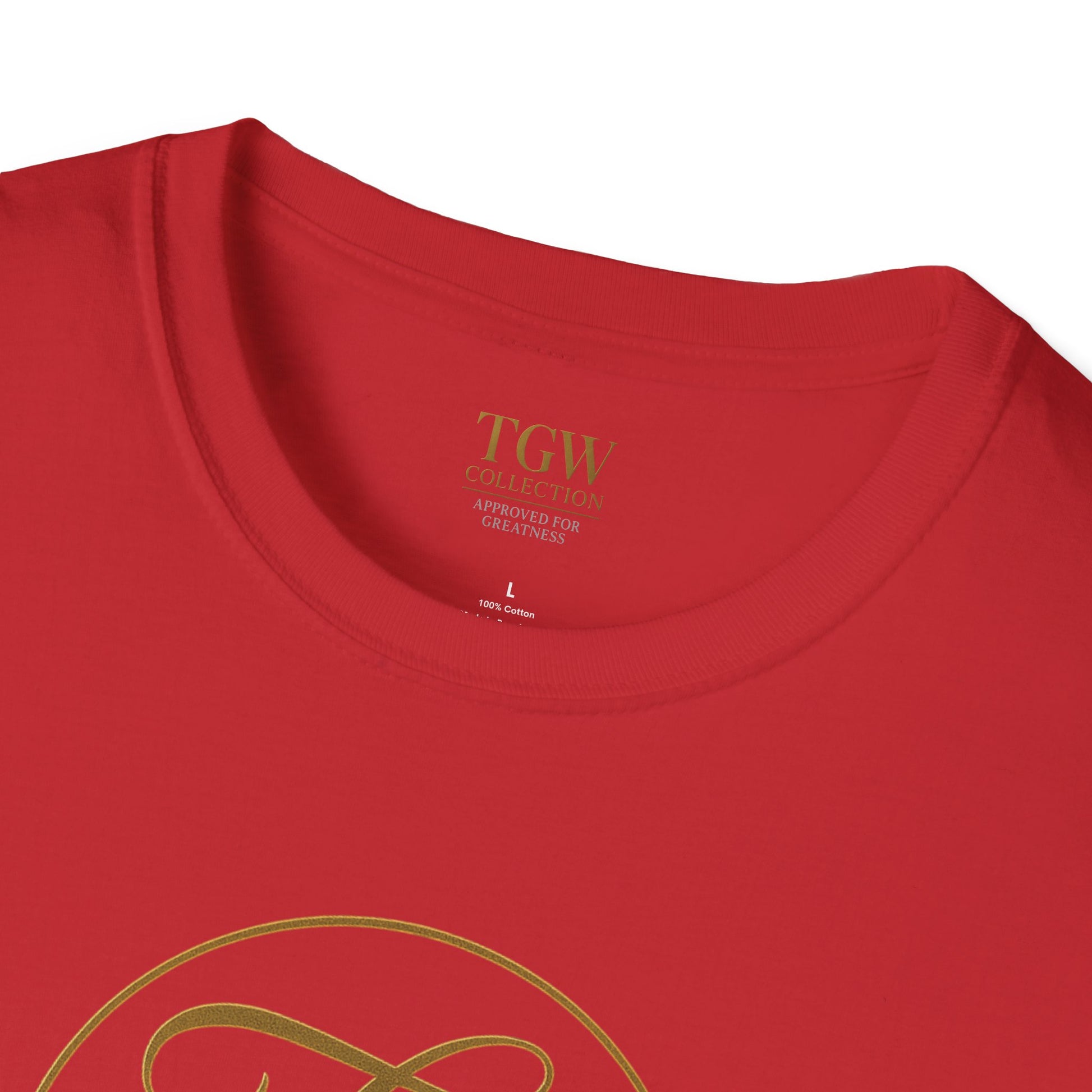 Stylish T-Shirt with Empire Signature Design - Casual Wear, Gift, Street Style, Unique Fashion, Comfortable Fit