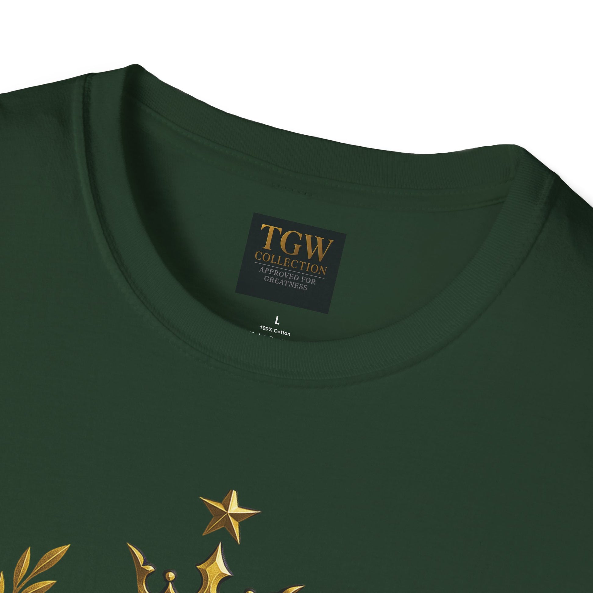 Inspirational T-Shirt - Born for Greatness, Motivational Tee, Gift for Achievers, Casual Wear, Everyday Comfort