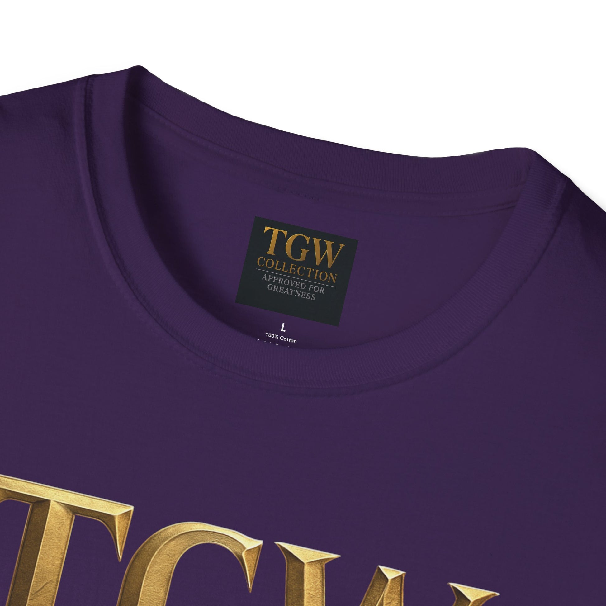 Elegant Gold Lettering Soft style T-Shirt, Casual Tee, Stylish Apparel, Gift for Fashion Lovers, Everyday Wear