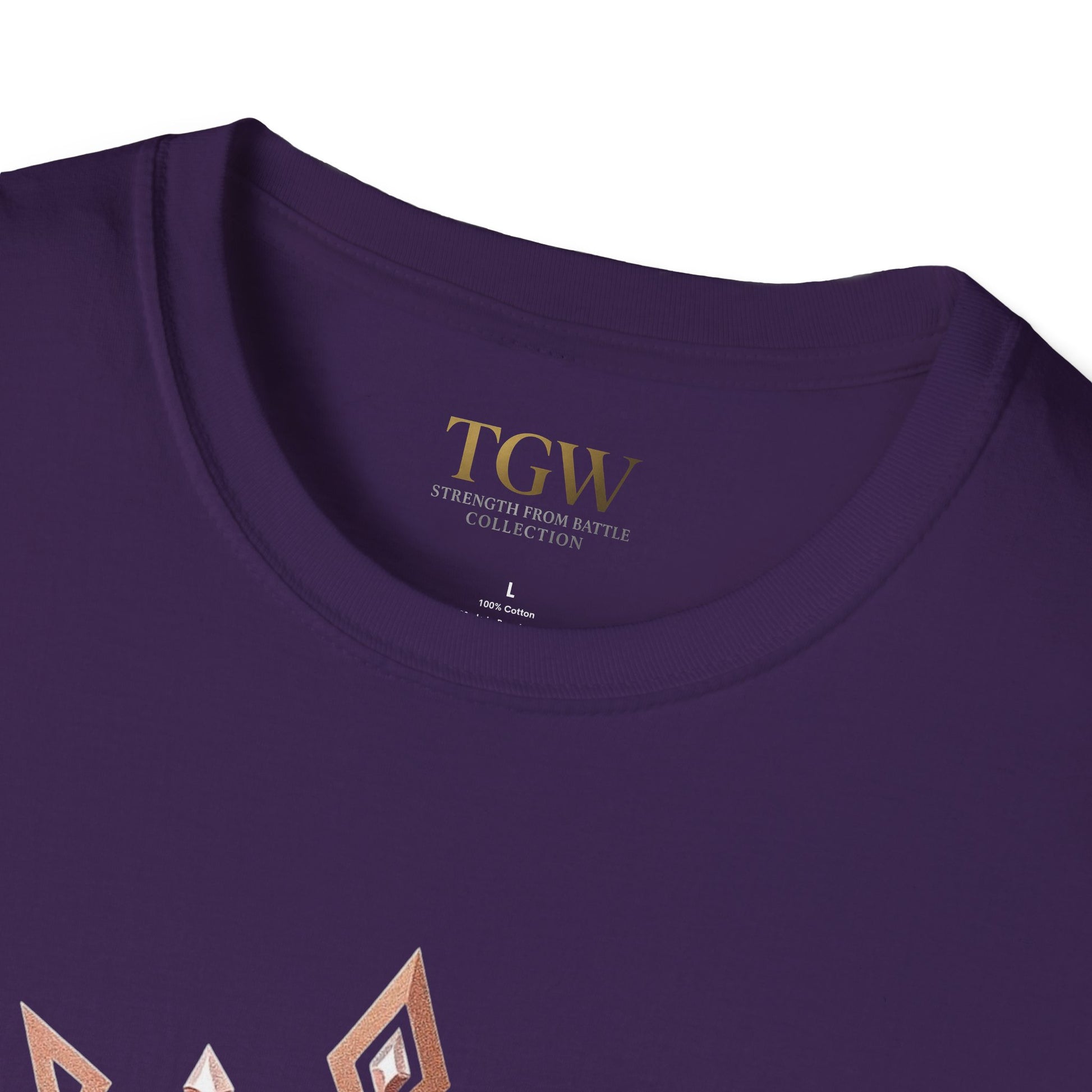 Women T-Shirts Gladiator Within, Motivational Tee, Soft-style Shirt, Graphic Shirt, Gift for Fitness Lovers, Inspirational Apparel