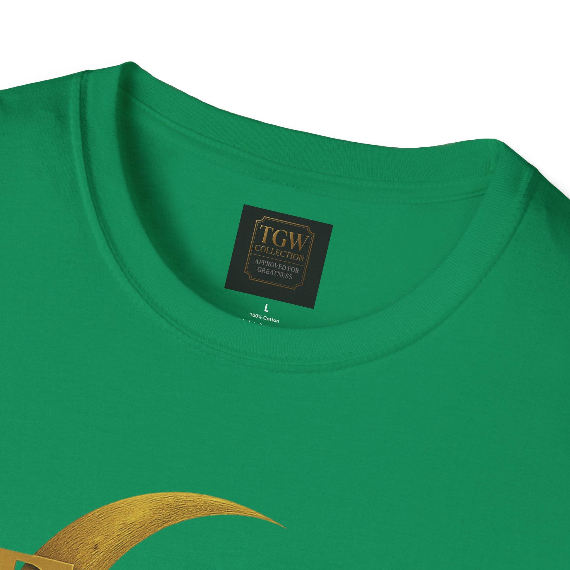 Shine Bright T-Shirt, Graphic Tee, Motivational Gift, Casual Wear, Inspirational Apparel