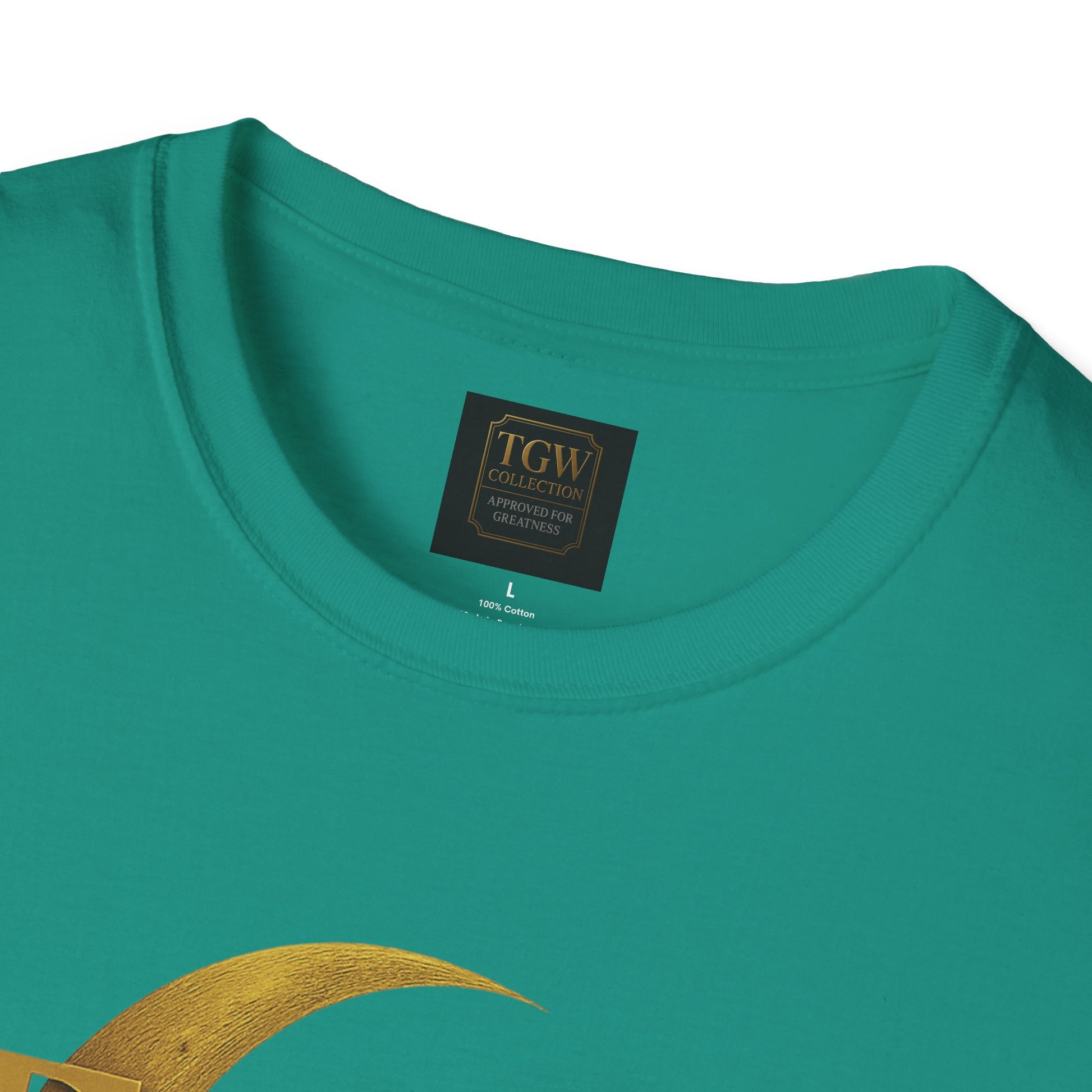 Shine Bright T-Shirt, Graphic Tee, Motivational Gift, Casual Wear, Inspirational Apparel