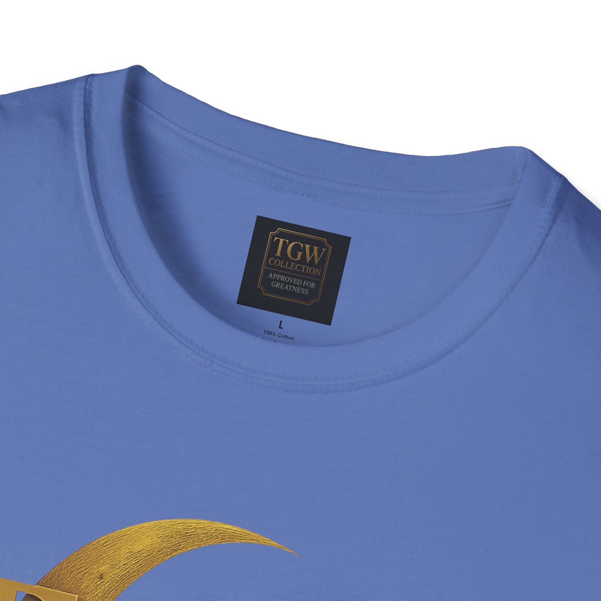 Shine Bright T-Shirt, Graphic Tee, Motivational Gift, Casual Wear, Inspirational Apparel