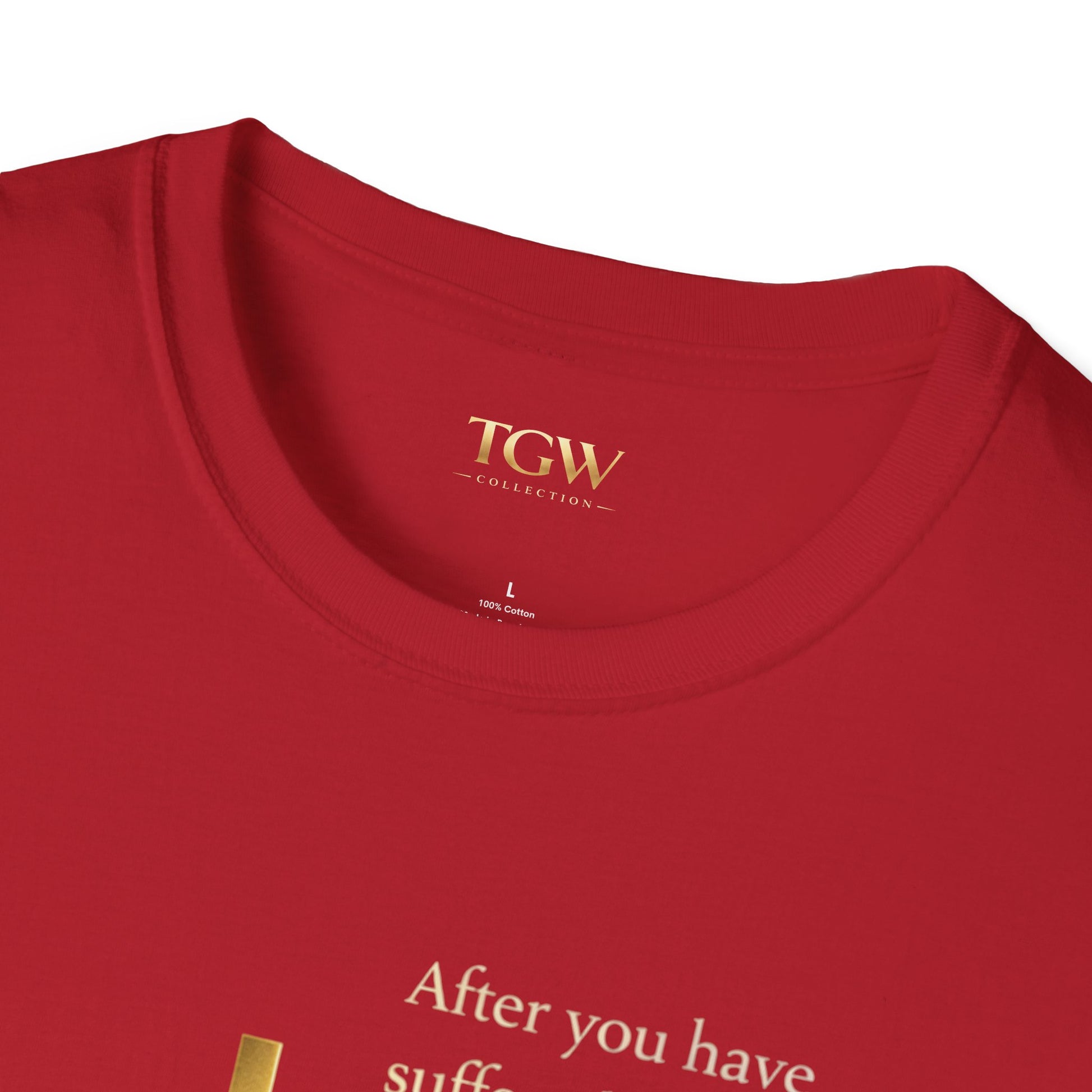 TGW Collection Cross Softstyle T-Shirt