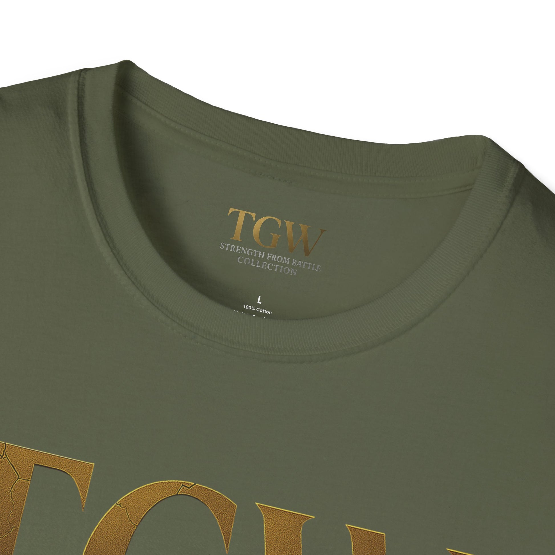 Softstyle T-Shirt - Air Force Honors