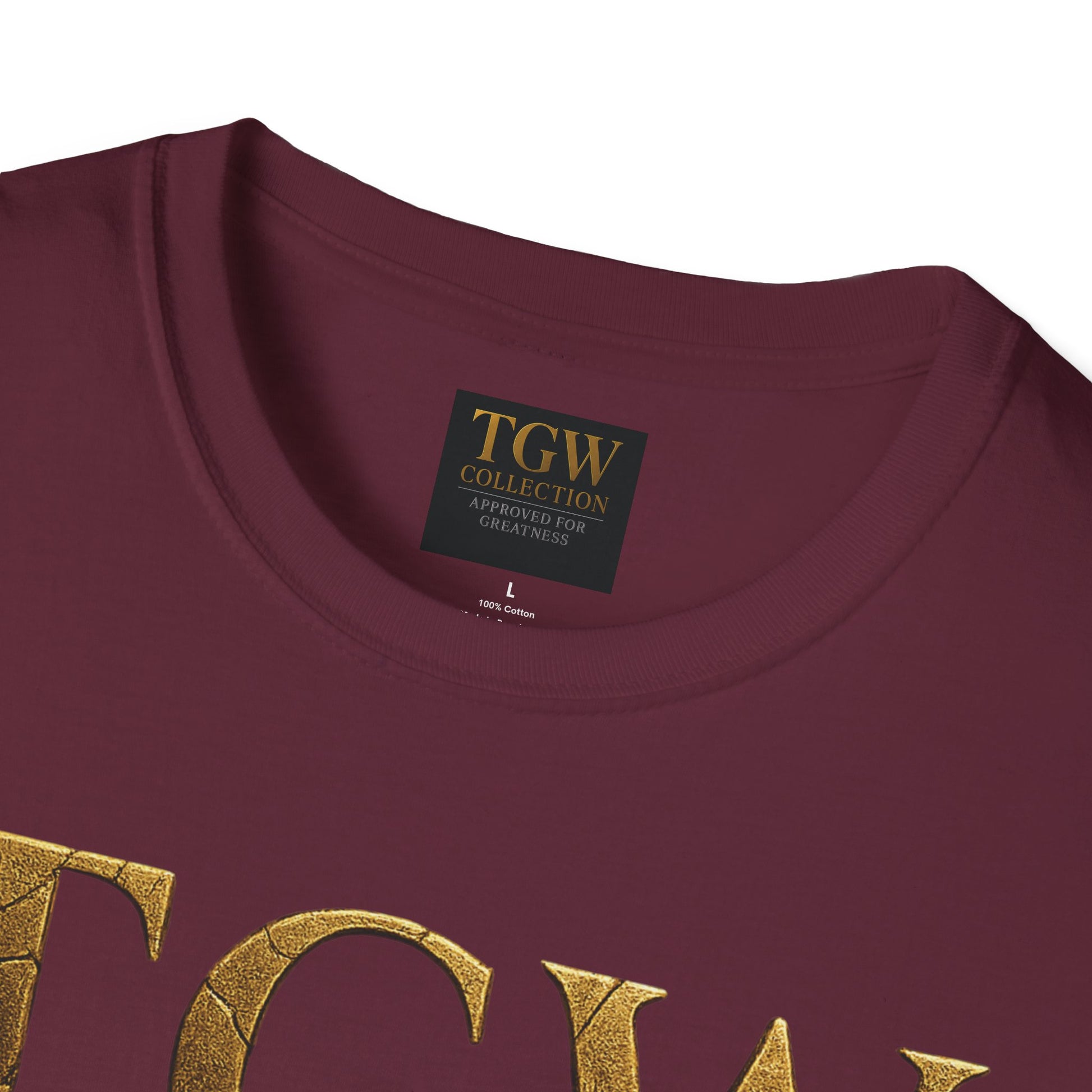 Stylish T-Shirt - Casual Wear for Everyday Comfort, Relaxed Fit
