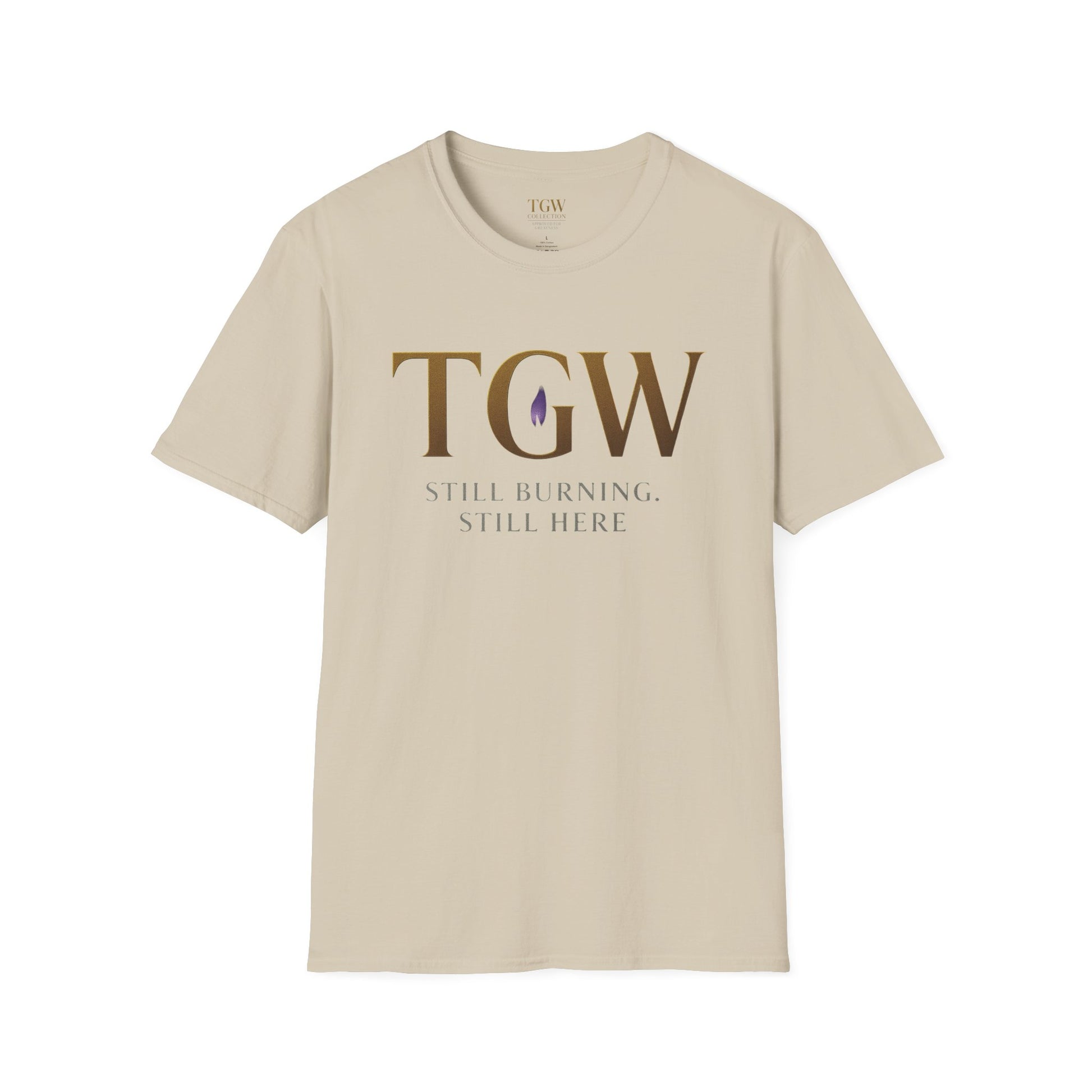 Stylish Motivational T-Shirt, Inspirational Apparel, Gift for Her, Casual Wear, Positive Affirmations Tee Gift