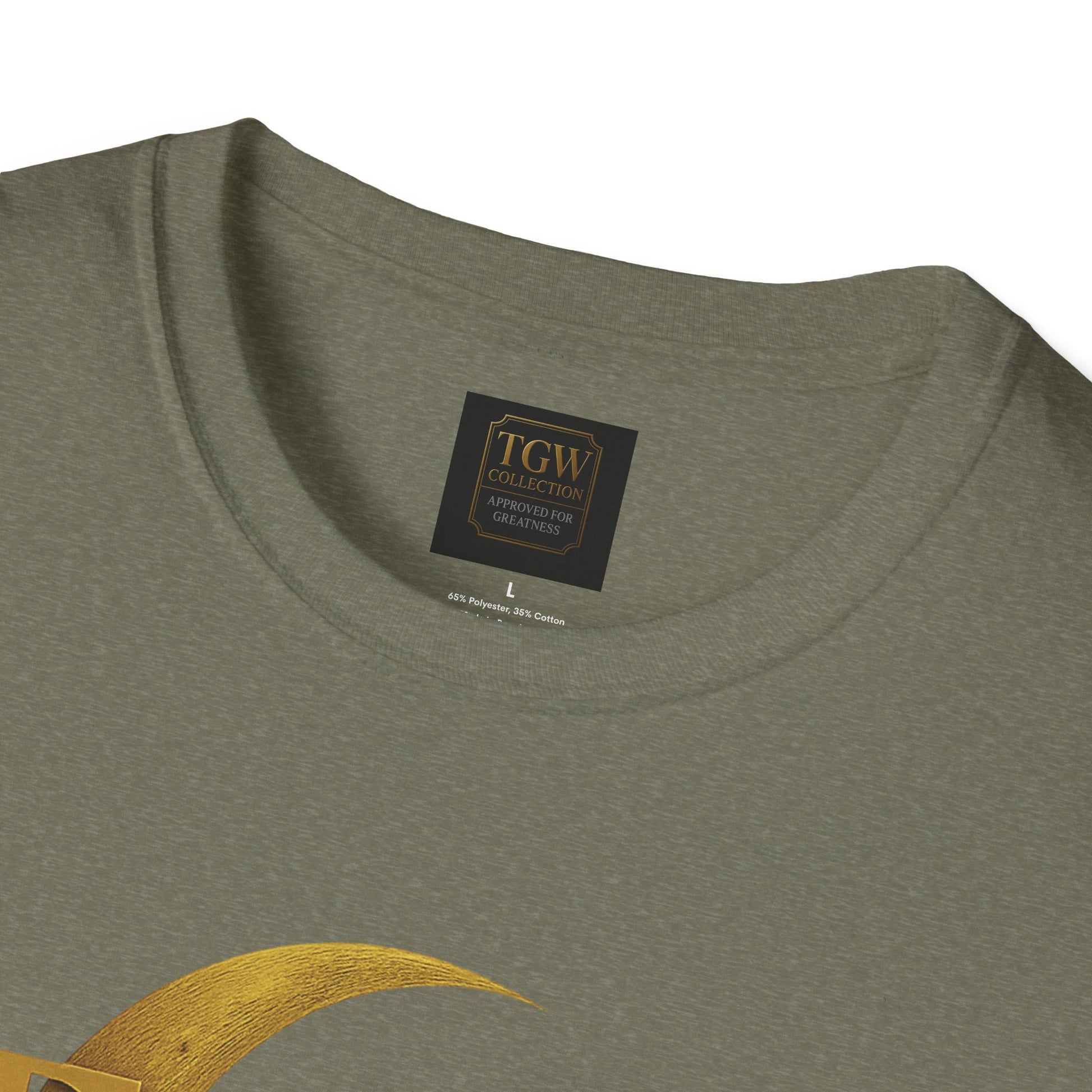 Shine Bright T-Shirt, Graphic Tee, Motivational Gift, Casual Wear, Inspirational Apparel