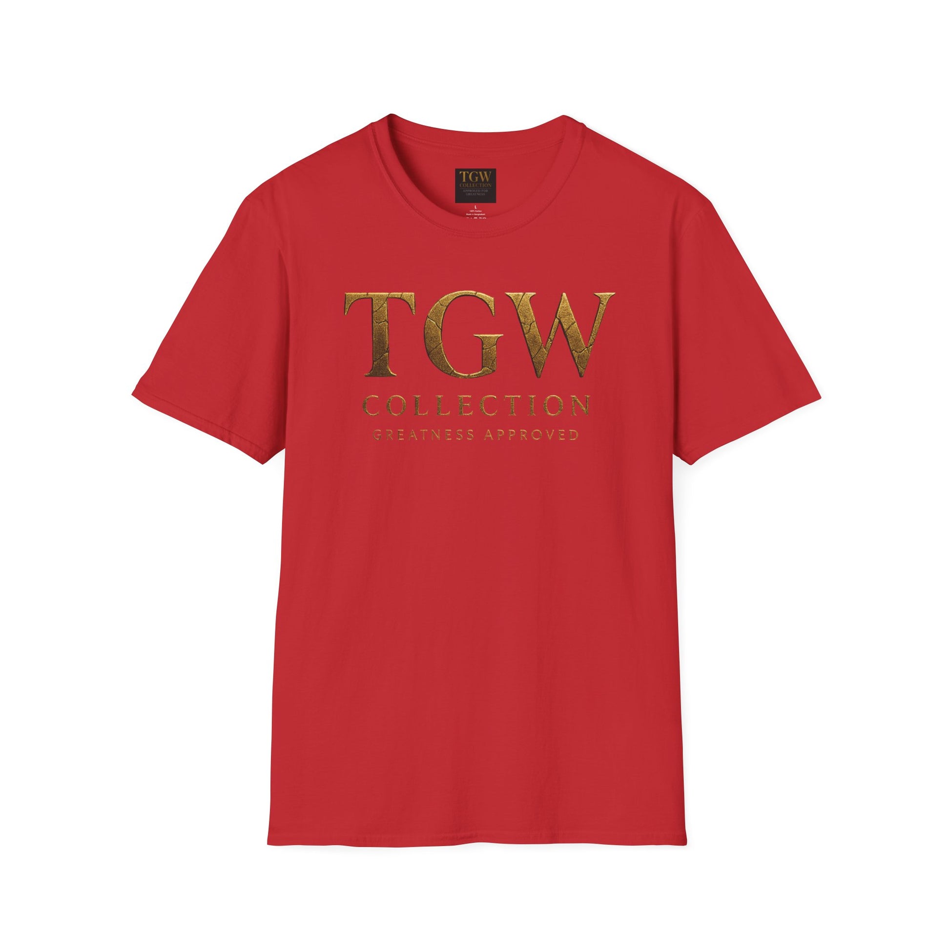 Stylish T-Shirt - Casual Wear for Everyday Comfort, Gift for Birthdays, Holidays, Relaxed Fit