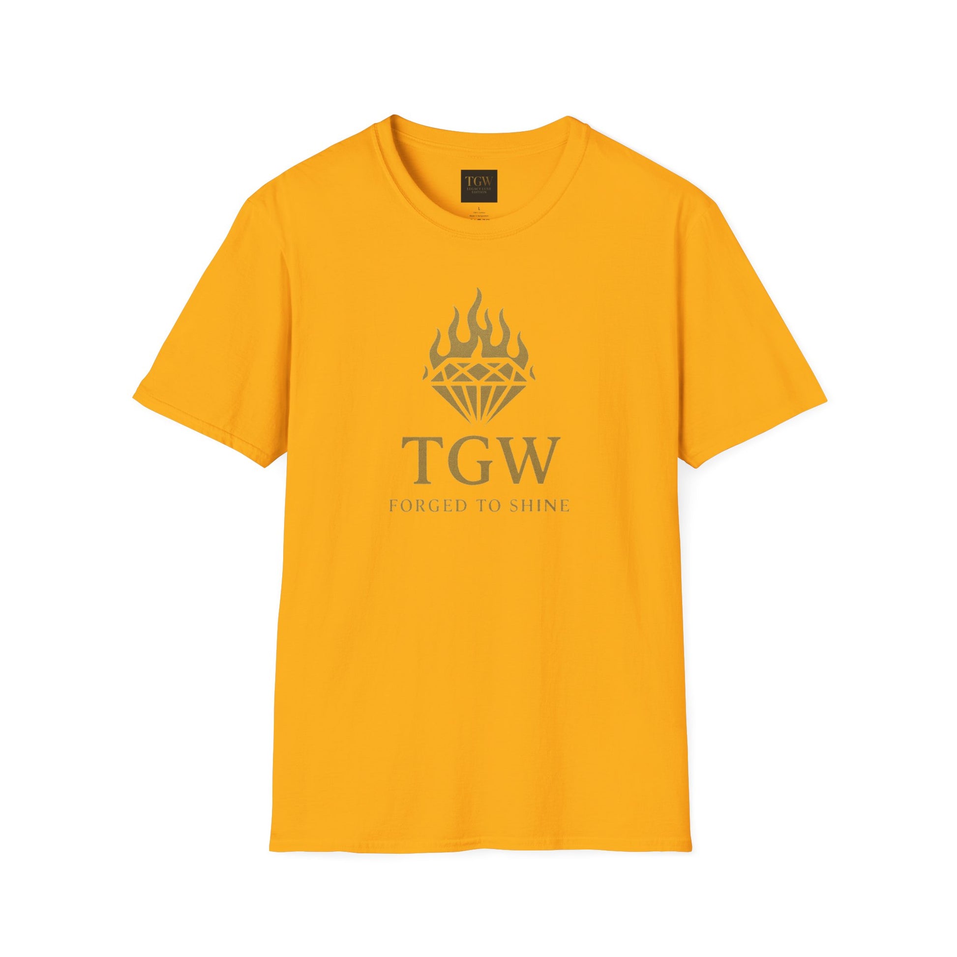 Stylish Motivational T-Shirt, Inspirational Tee, Casual Wear, Perfect for Gifting, Summer Outfits, Fashion Statement