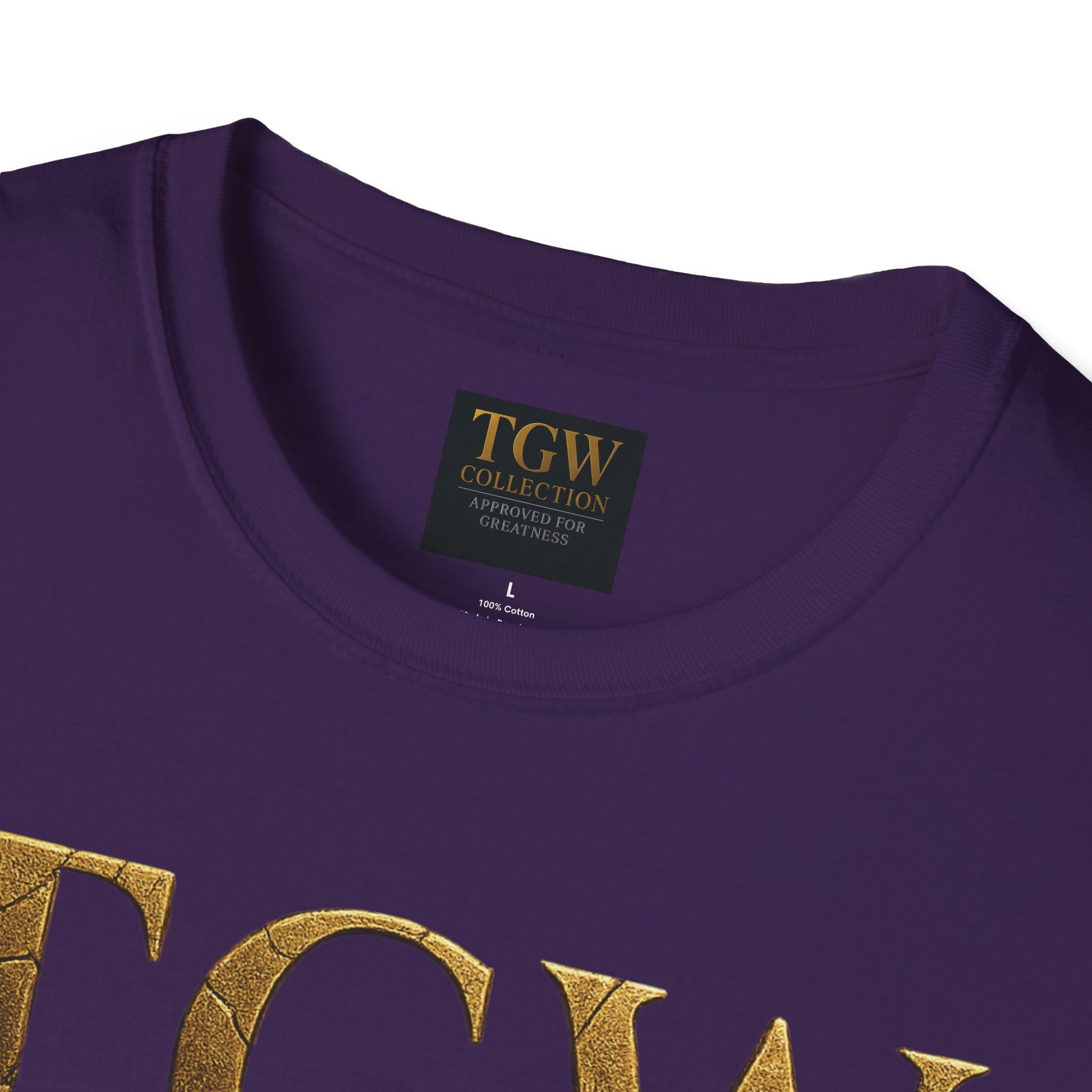 Stylish T-Shirt - Casual Wear for Everyday Comfort, Gift for Birthdays, Holidays, Relaxed Fit