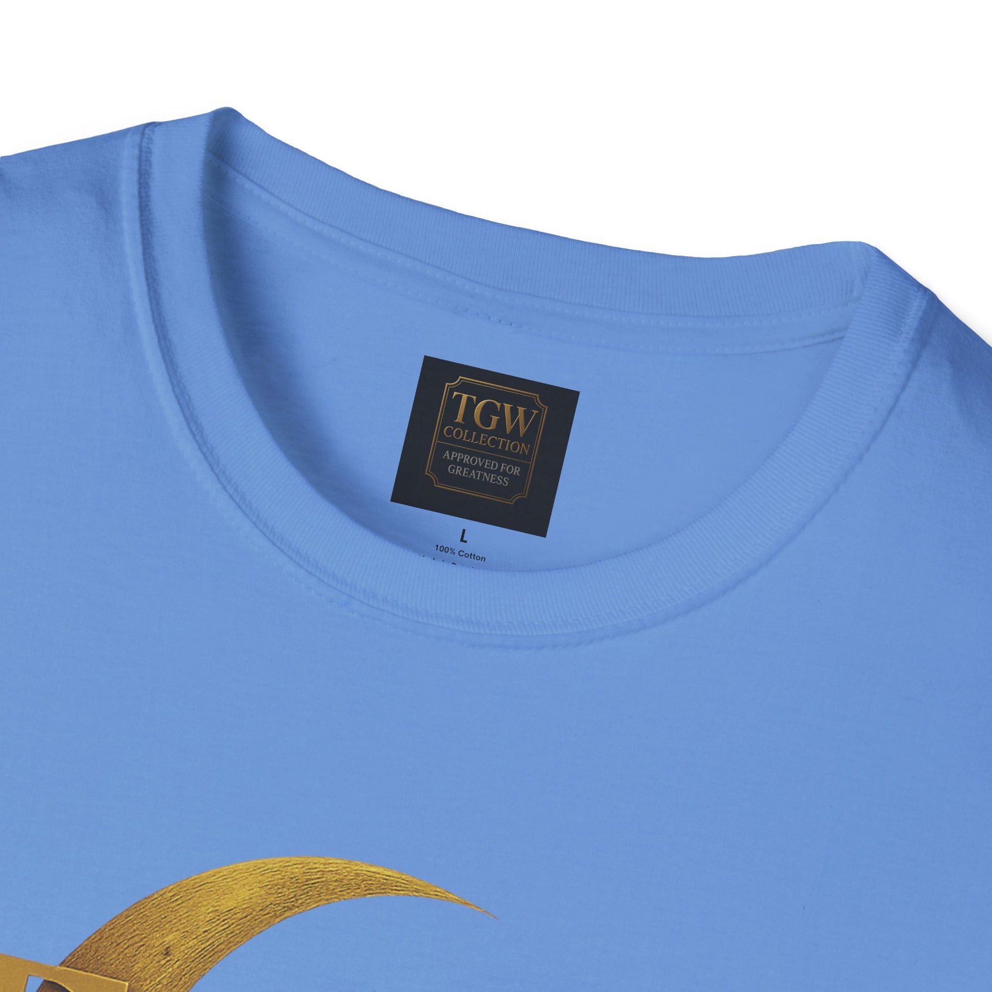 Shine Bright T-Shirt, Graphic Tee, Motivational Gift, Casual Wear, Inspirational Apparel