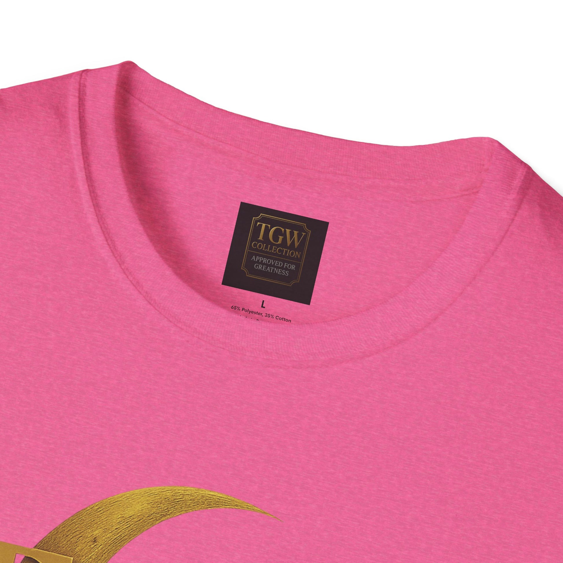 Shine Bright T-Shirt, Graphic Tee, Motivational Gift, Casual Wear, Inspirational Apparel