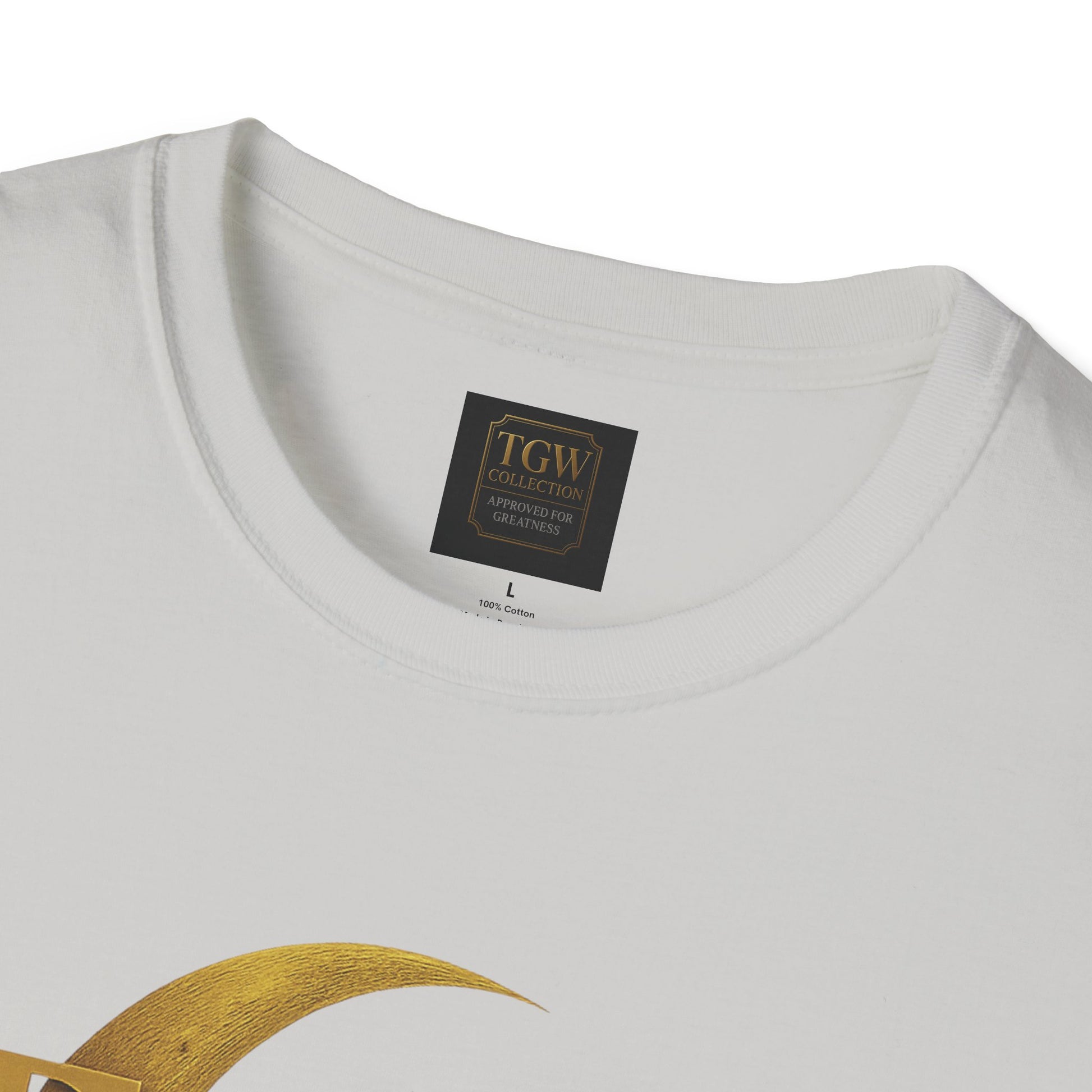 Shine Bright T-Shirt, Graphic Tee, Motivational Gift, Casual Wear, Inspirational Apparel