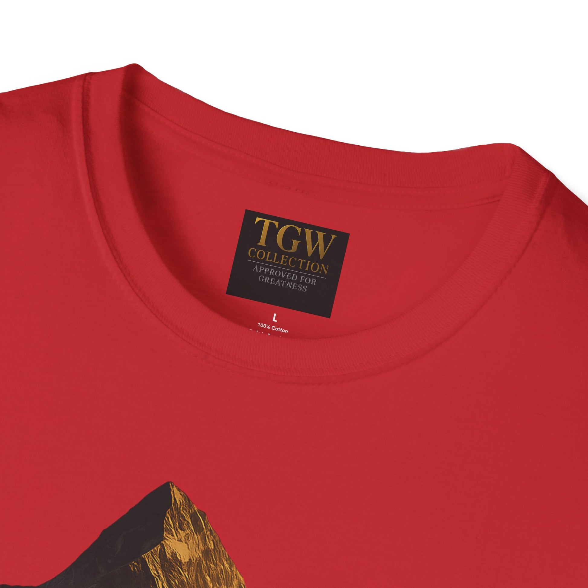 Stylish Mountain Graphic T-Shirt, Adventure Tee, Casual Wear, Apparel, Gift for Nature Lovers