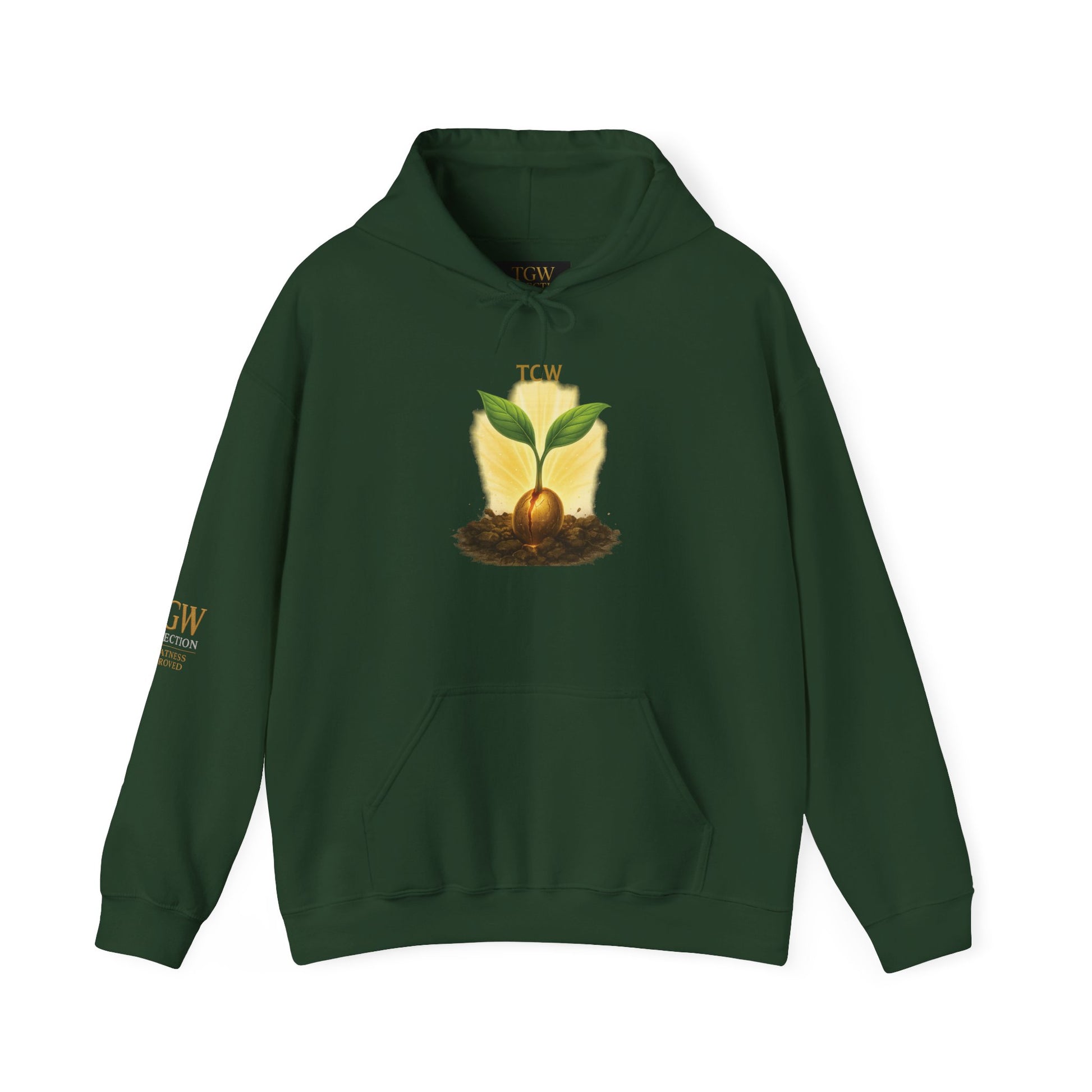 Growth Mindset Hoodie - Heavy Blend™ Sweatshirt