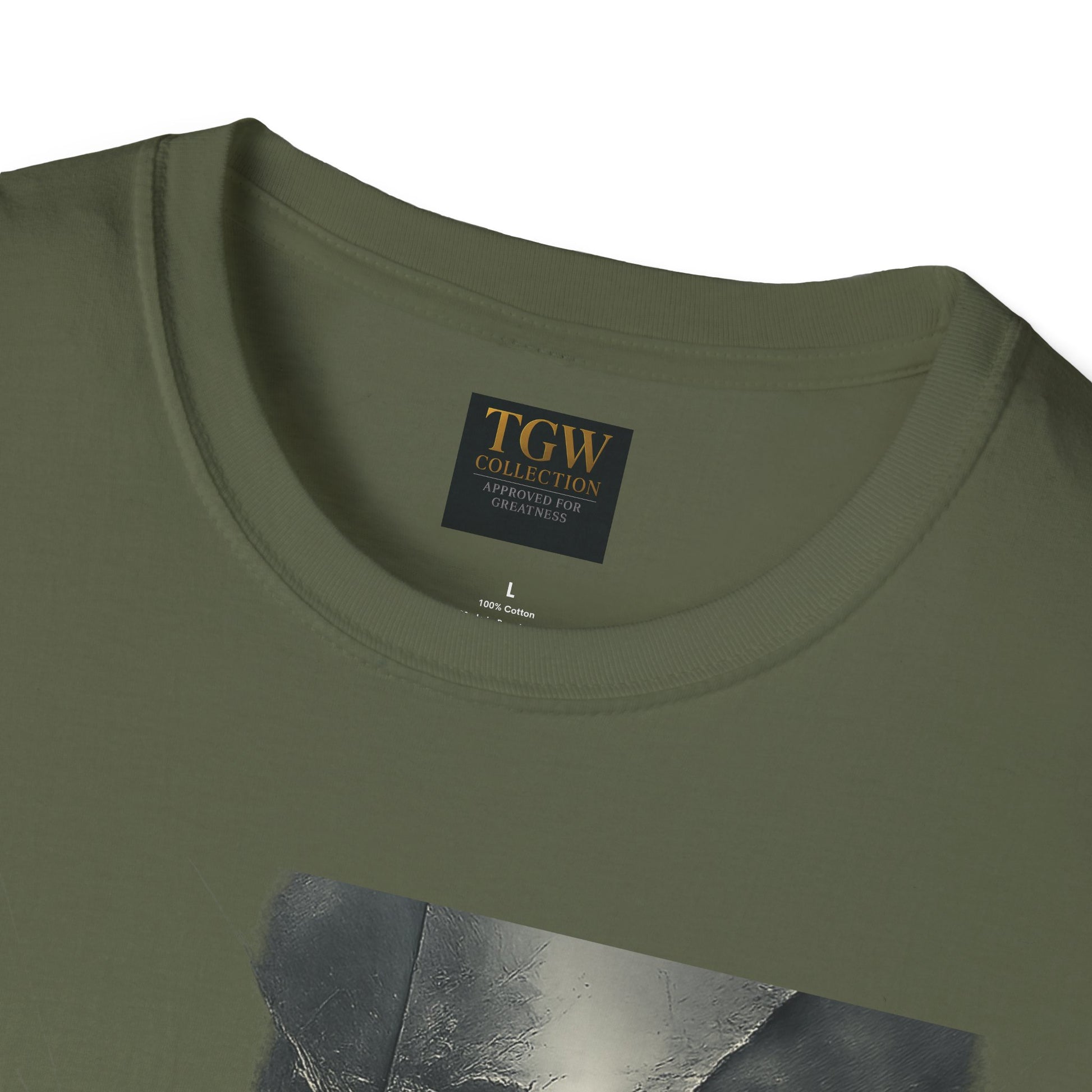 Stylish Graphic Tee, Cool Casual Wear, T-Shirt, Perfect Gift for Fans, Greatness Approved