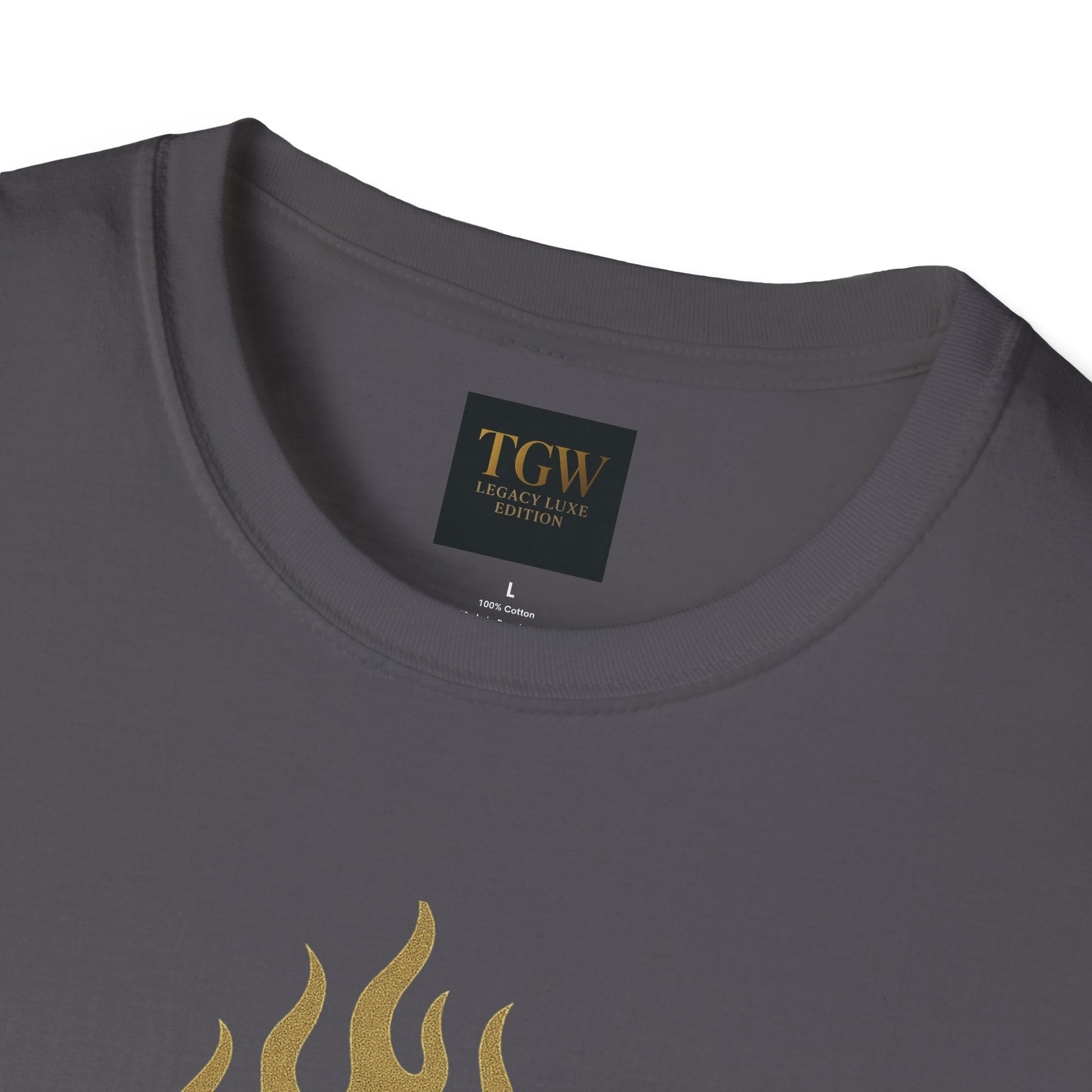 Stylish Motivational T-Shirt, Inspirational Tee, Casual Wear, Perfect for Gifting, Summer Outfits, Fashion Statement