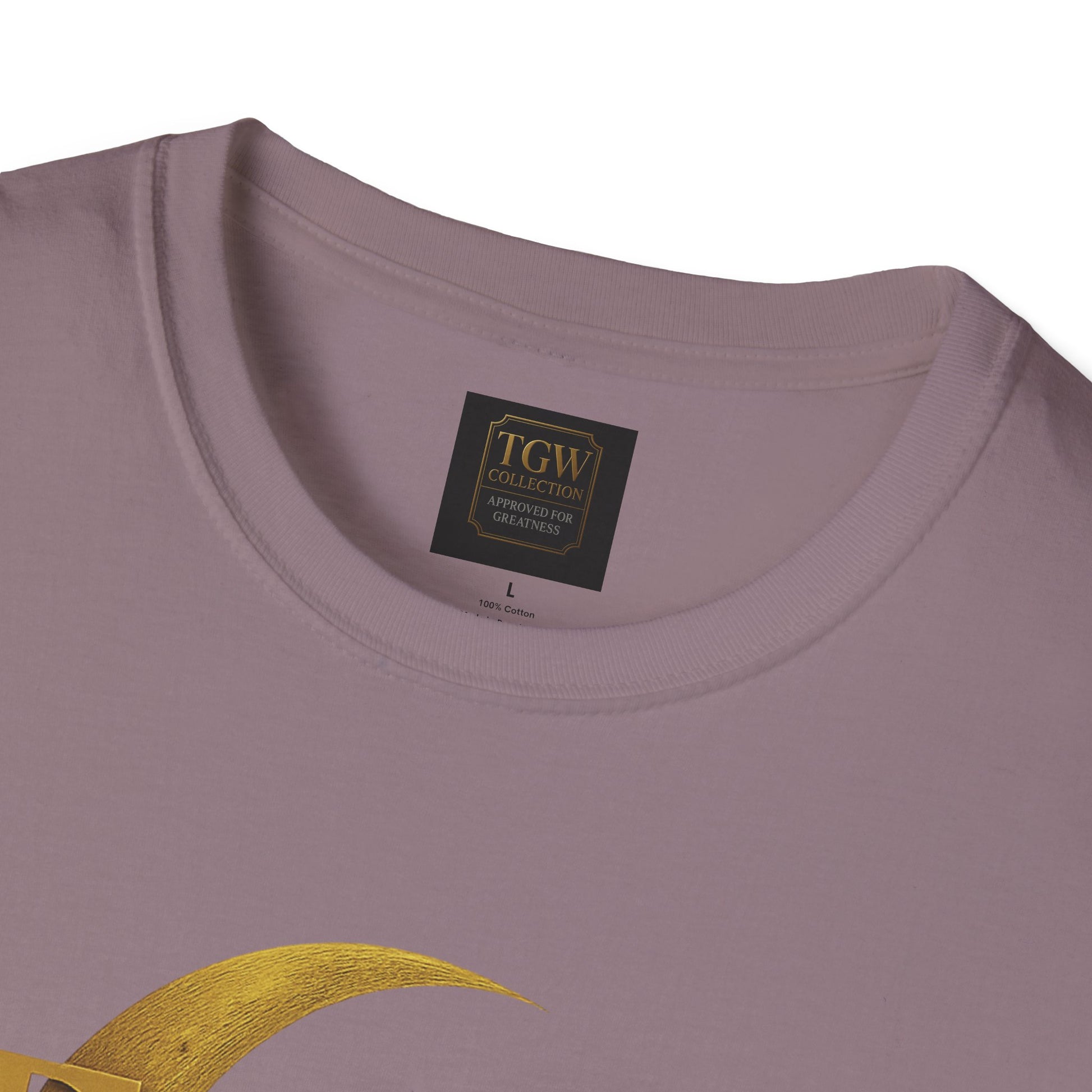 Shine Bright T-Shirt, Graphic Tee, Motivational Gift, Casual Wear, Inspirational Apparel