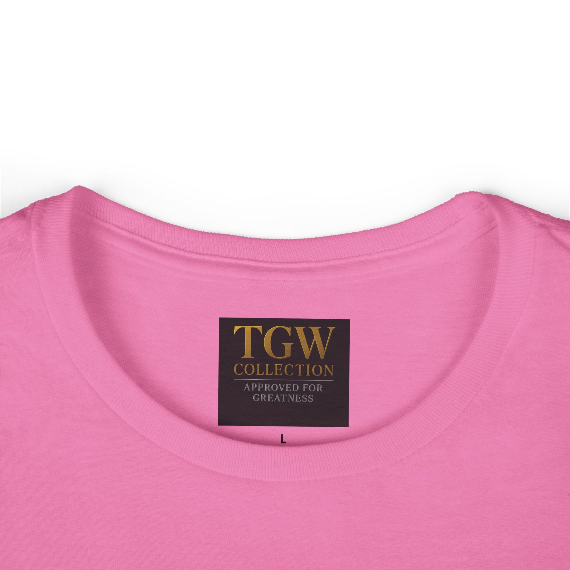 Empowering Women's Softstyle Tee - "Healed Not Hidden" Inspirational Shirt, Motivational Gift, Self-Love Apparel, Recovery Message