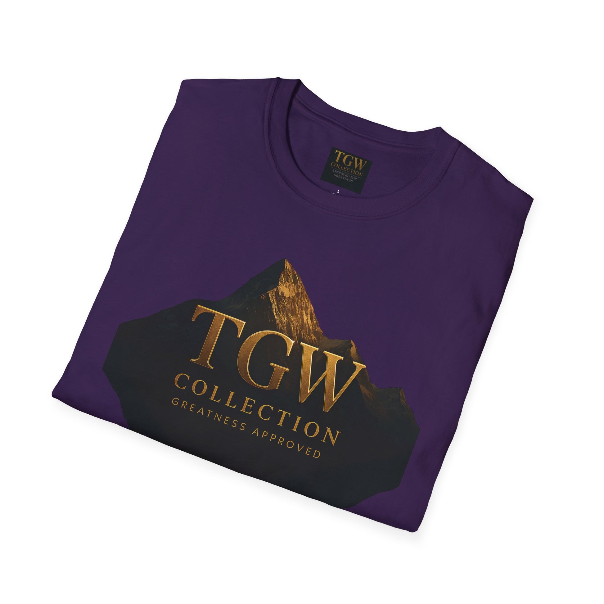 Stylish Mountain Graphic T-Shirt, Adventure Tee, Casual Wear, Apparel, Gift for Nature Lovers