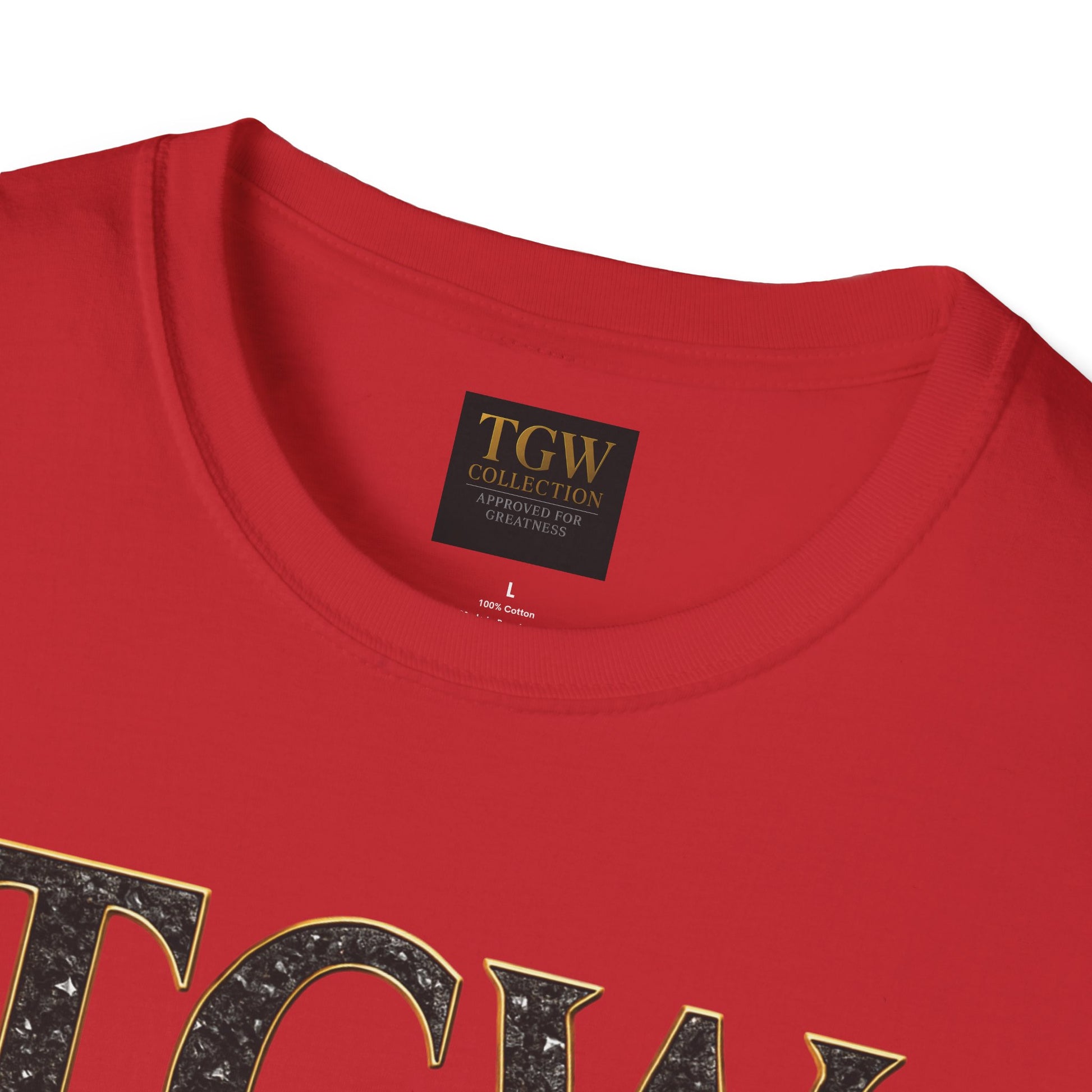 Stylish  Soft style T-Shirt, Casual Wear, Everyday Fashion, TGW Collection Tee